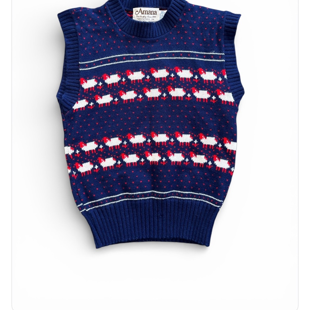Woolen Amana Navy and Red Knit Sweater